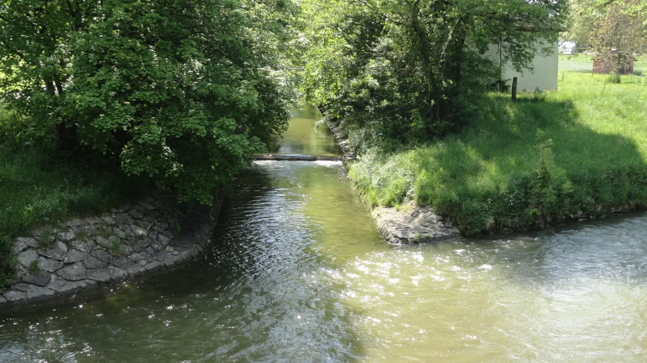 Eulach_Mündung Eulach_Mündung